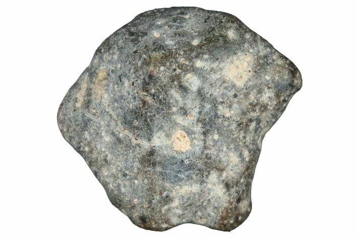 Lunar Meteorite ( g) - NWA #303018